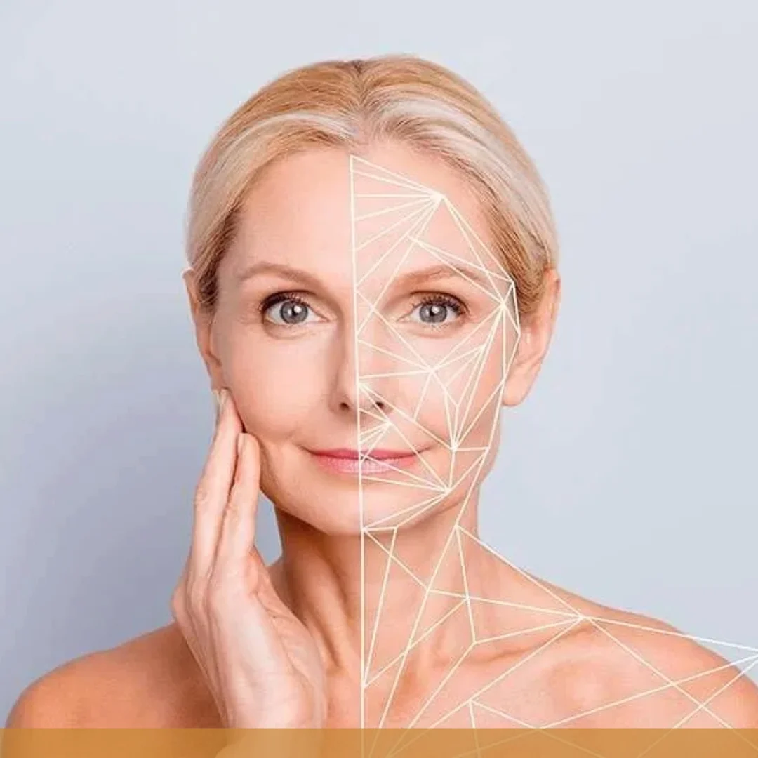 collagen 2